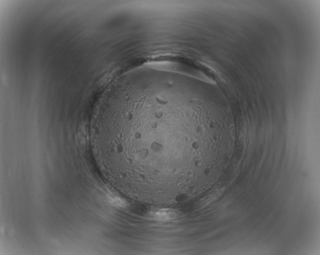 X0000064730467200602101154