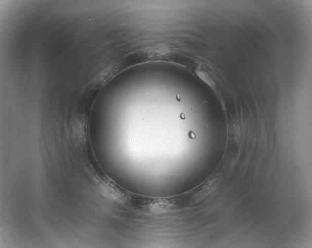 X0000064730468200602101154