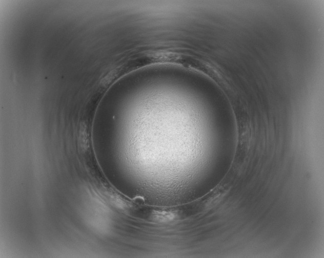 X0000064730469200602101154