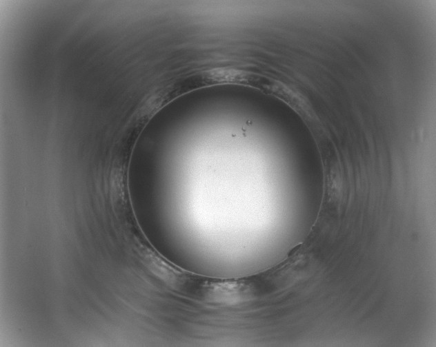 X0000064730473200602101154