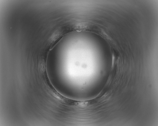 X0000064730474200602101154