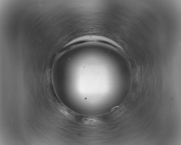 X0000064730475200602101154