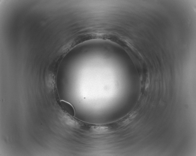 X0000064730476200602101154