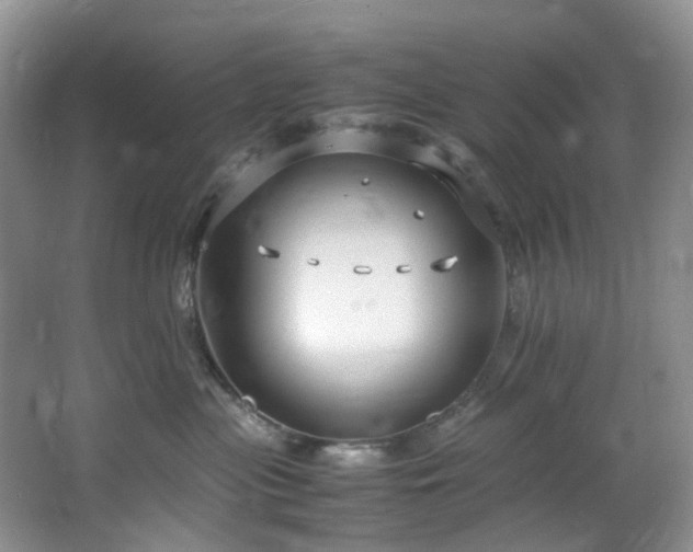 X0000064730477200602101154