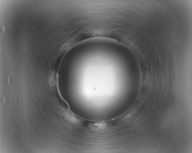 X0000064730478200602101154