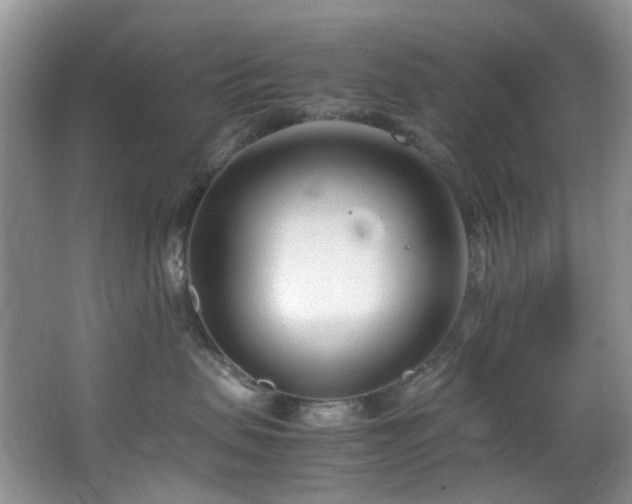 X0000064730479200602101154