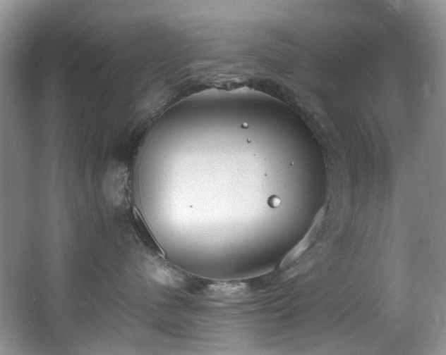 X0000064730480200602101154