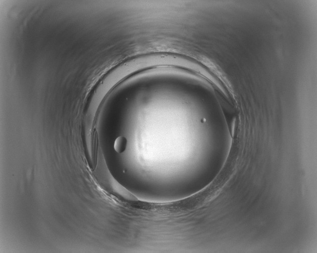 X0000064730481200602101154