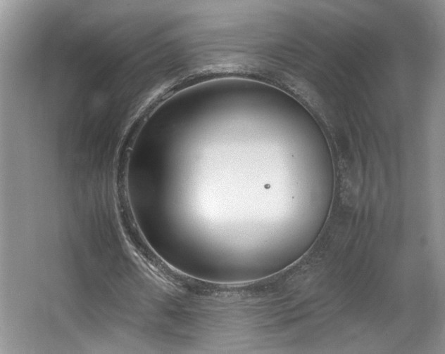 X0000064730482200602101154