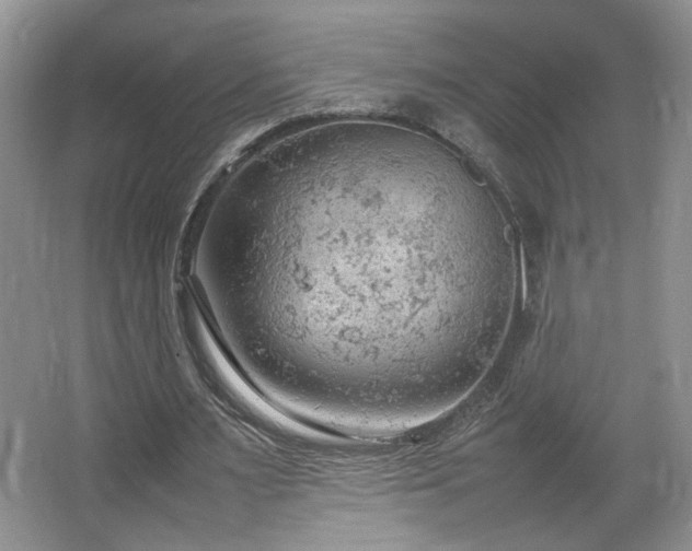 X0000064730483200602101154