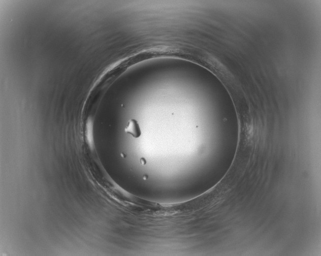 X0000064730484200602101154