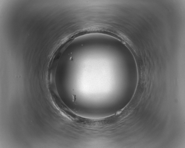 X0000064730485200602101154