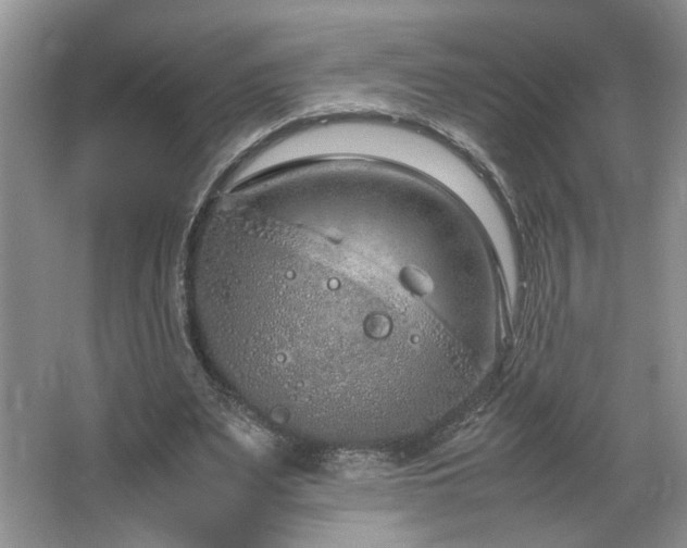 X0000064730487200602101154