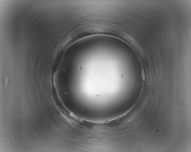 X0000064730489200602101154