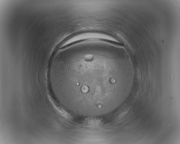 X0000064730491200602101153