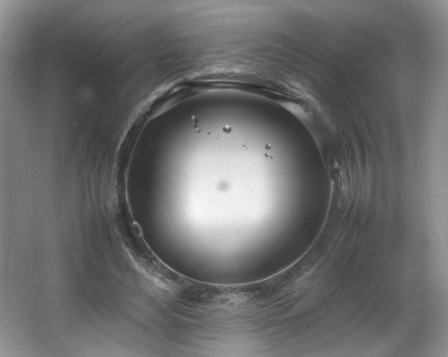 X0000064730492200602101153