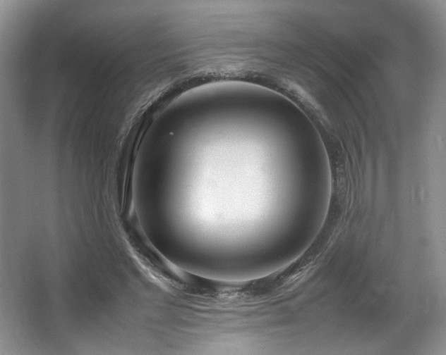 X0000064730493200602101153