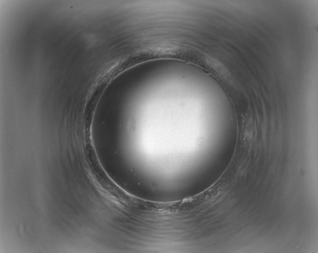 X0000064730494200602101153