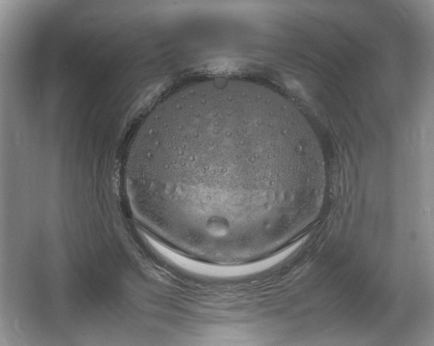 X0000064730495200602101153