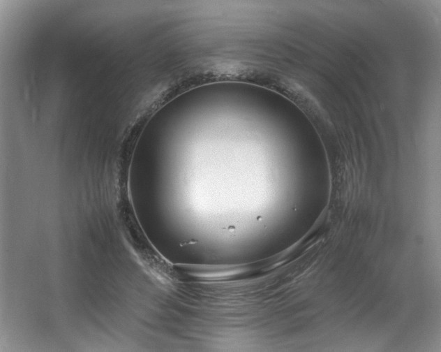 X0000064730496200602101153