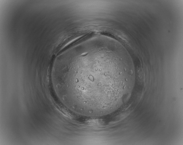 X0000064730499200602101153