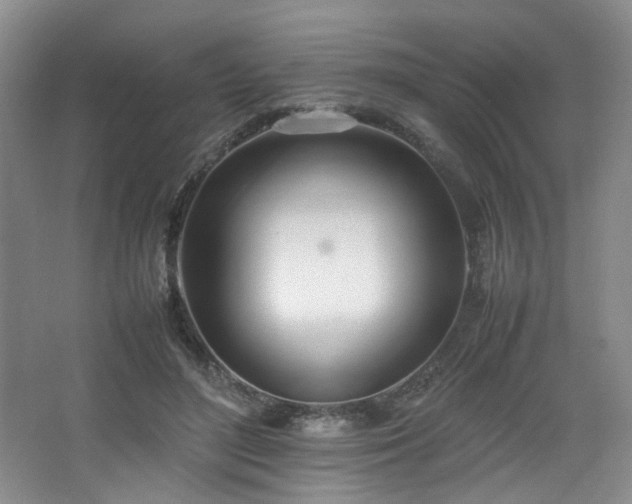 X0000064730500200602101153