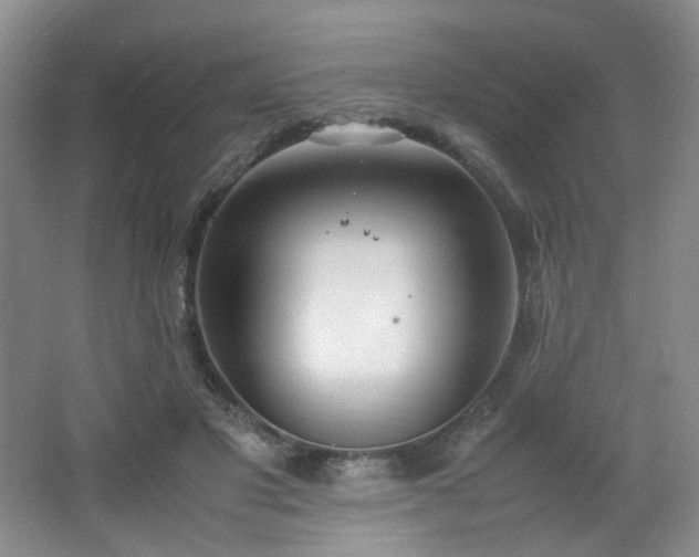 X0000064730501200602101153