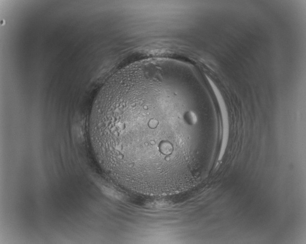 X0000064730503200602101153