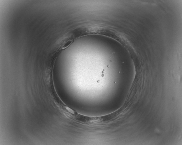 X0000064730505200602101153