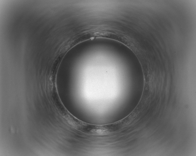 X0000064730506200602101153