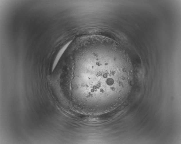 X0000064730507200602101153