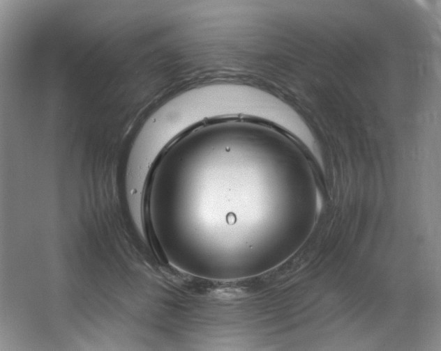 X0000064730508200602101153