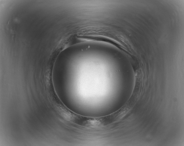 X0000064730509200602101153