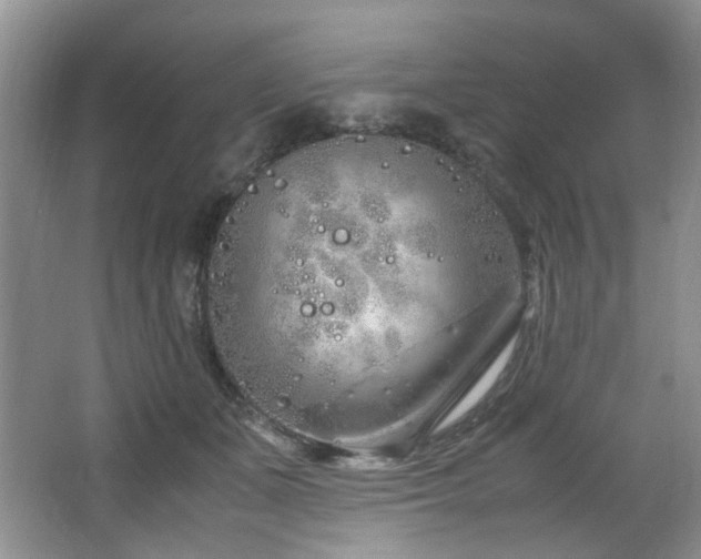 X0000064730511200602101153