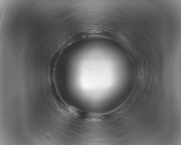 X0000064730512200602101153