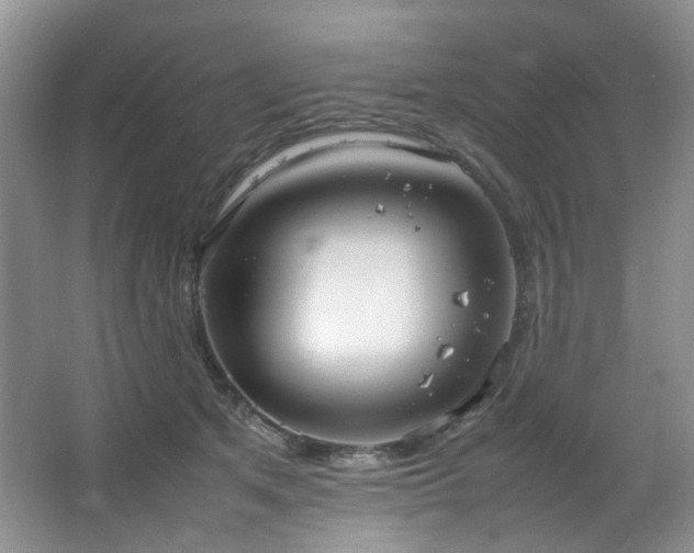 X0000064730513200602101153