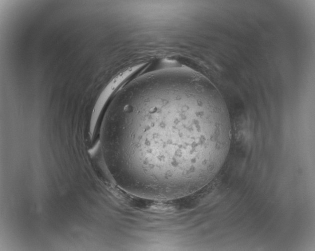 X0000064730515200602101153