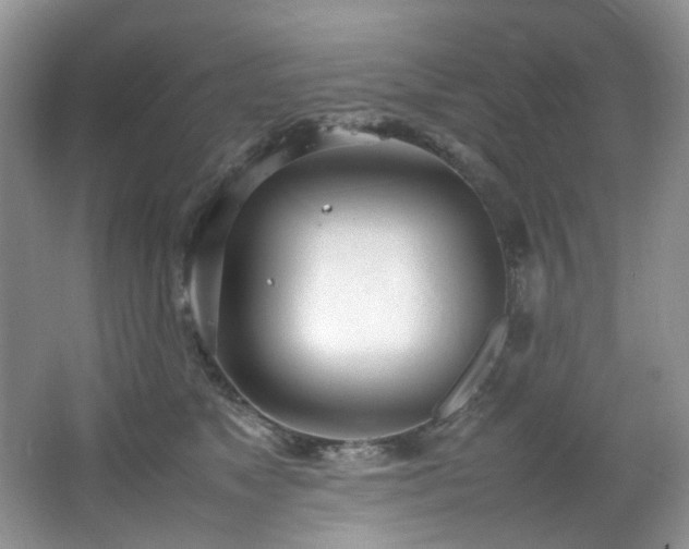 X0000064730517200602101153