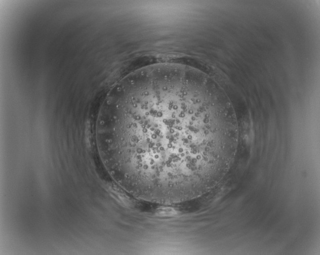 X0000064730519200602101153