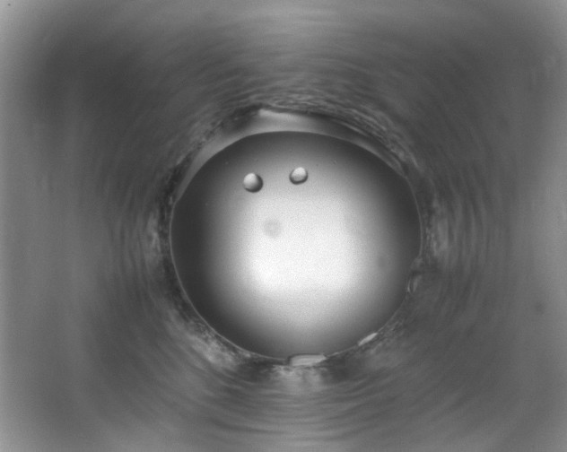 X0000064730520200602101153