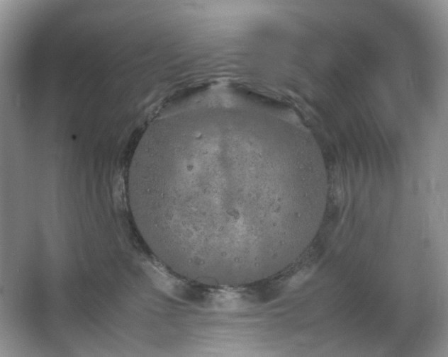 X0000064730523200602101153