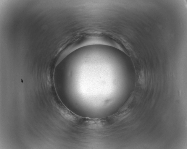 X0000064730524200602101153