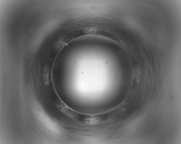 X0000064730525200602101153