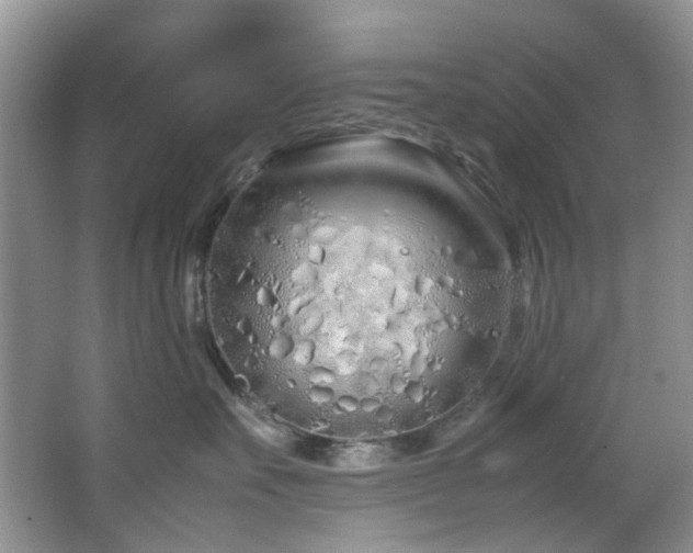 X0000064730527200602101153