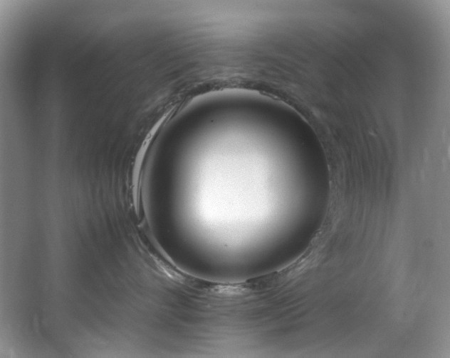 X0000064730528200602101153