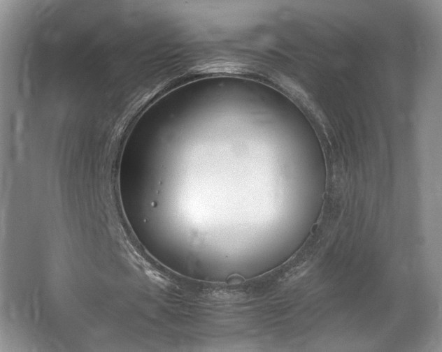 X0000064730529200602101152