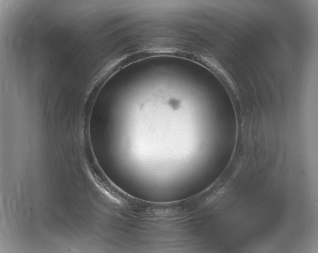 X0000064730533200602101152