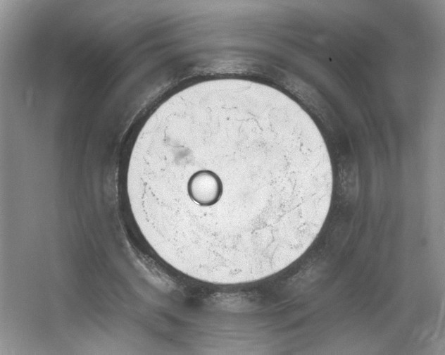 X0000064730534200602101152