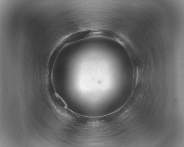 X0000064730540200602101152