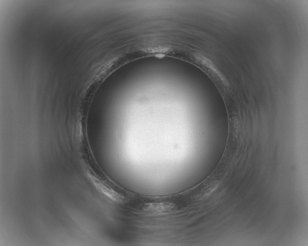 X0000064730541200602101152